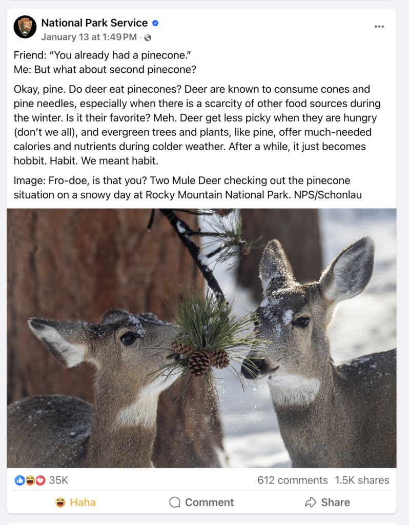 Text with two female deer eating pinecones from the National Park Service.